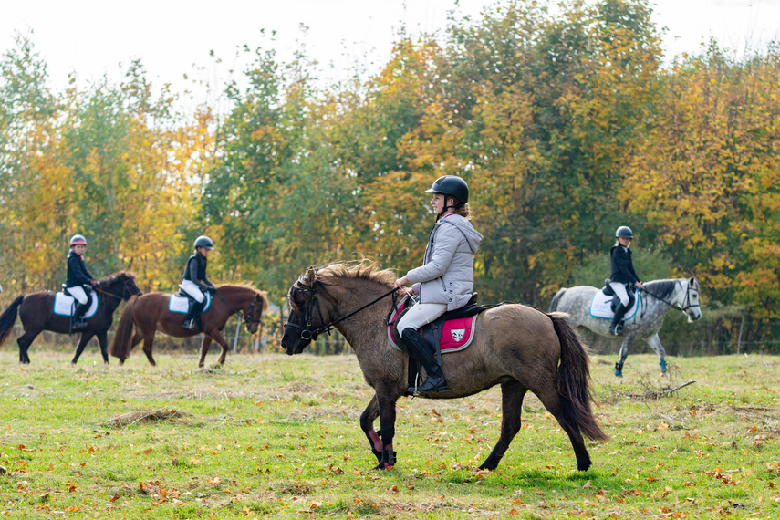 Złapać lisa zdjęcie nr 271425