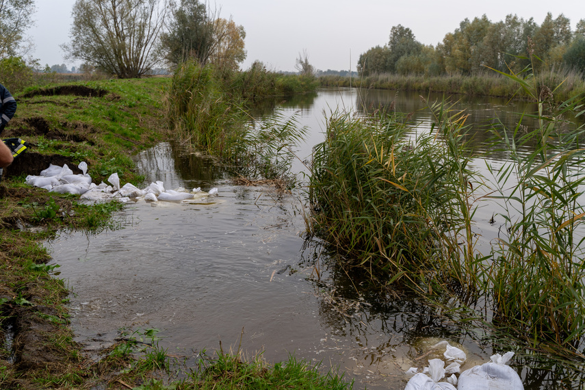 Przerwany wał na rzece Tina. Winne bobry zdjęcie nr 271557