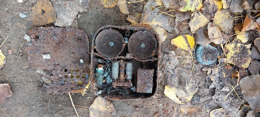 Odbudowa braniewskiego ratusza, czyli skarby pod ziemią zdjęcie nr 273148