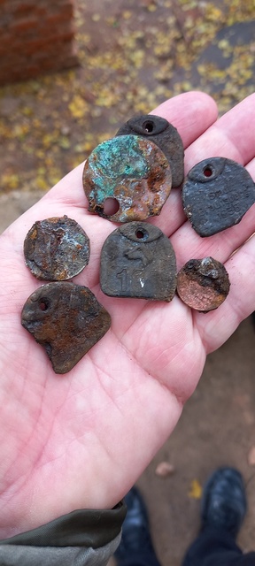 Odbudowa braniewskiego ratusza, czyli skarby pod ziemią zdjęcie nr 273151