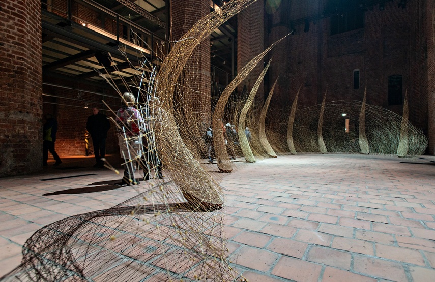 Trawa, wosk i Wszechświat. Nowa wystawa w Galerii El zdjęcie nr 273402