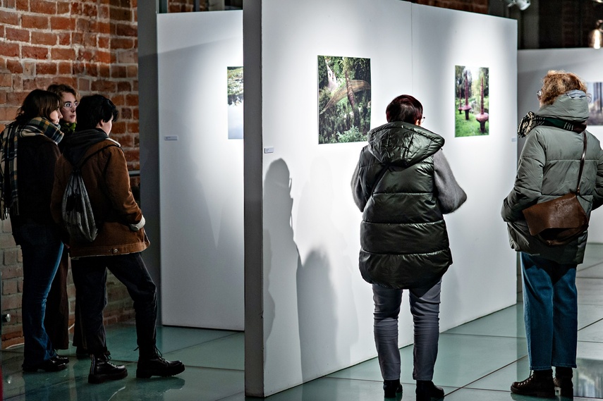 Trawa, wosk i Wszechświat. Nowa wystawa w Galerii El zdjęcie nr 273420