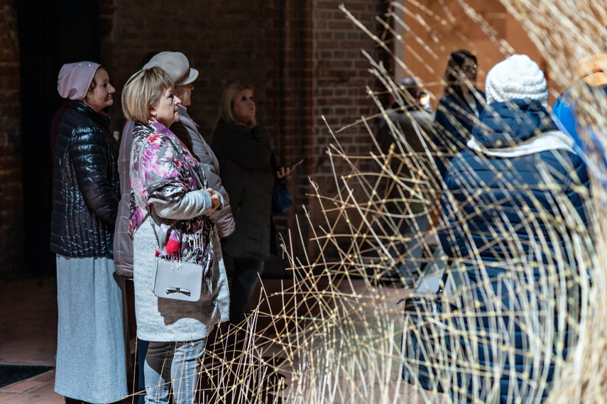 Trawa, wosk i Wszechświat. Nowa wystawa w Galerii El zdjęcie nr 273410