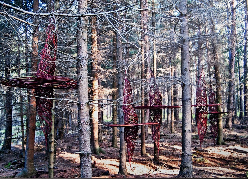 Trawa, wosk i Wszechświat. Nowa wystawa w Galerii El zdjęcie nr 273422