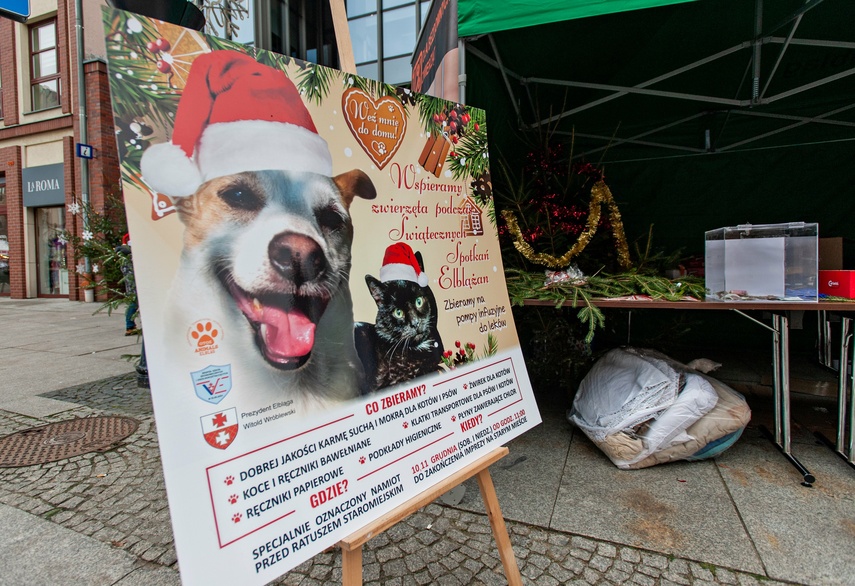 Spotkać się w świątecznym nastroju zdjęcie nr 274755