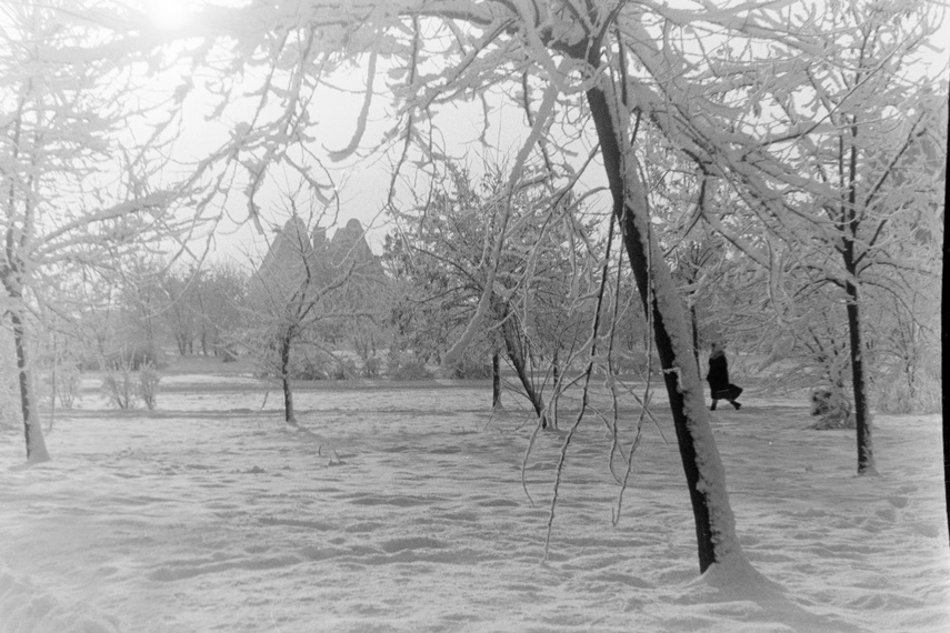 Elbląg podczas Grudnia 1970 w obiektywie (Elbląskie Archiwum Foto) zdjęcie nr 274991