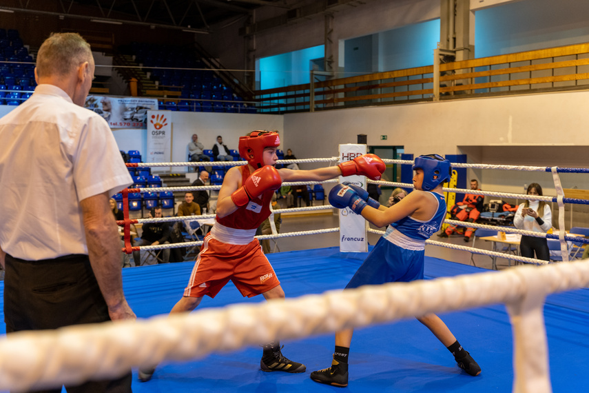 Elbląg Pięści Tygrysów