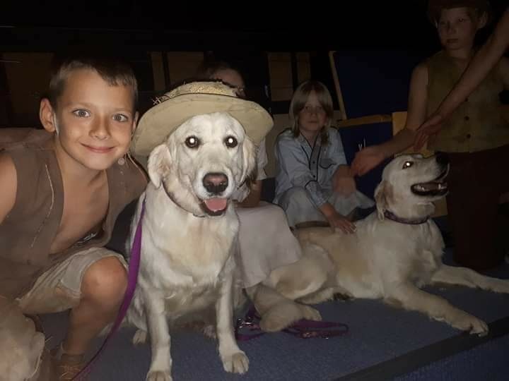 Mowgli z Elbląga zdjęcie nr 275525