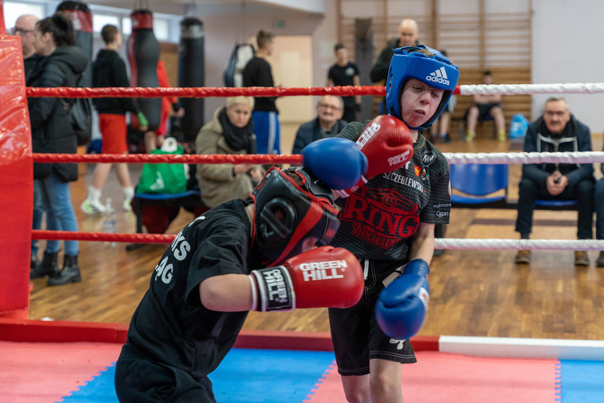 Tygrysy przed sezonem zdjęcie nr 278467