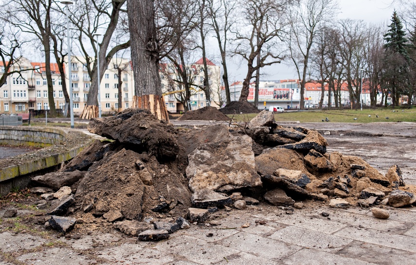 Coraz więcej zmian w parku Planty zdjęcie nr 280041