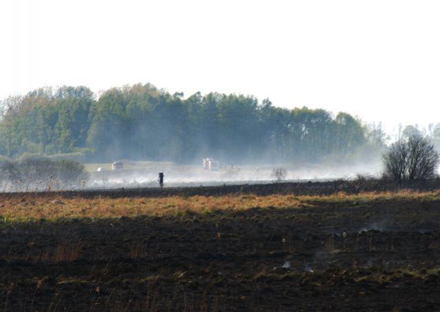 Płoną łąki zdjęcie nr 22707