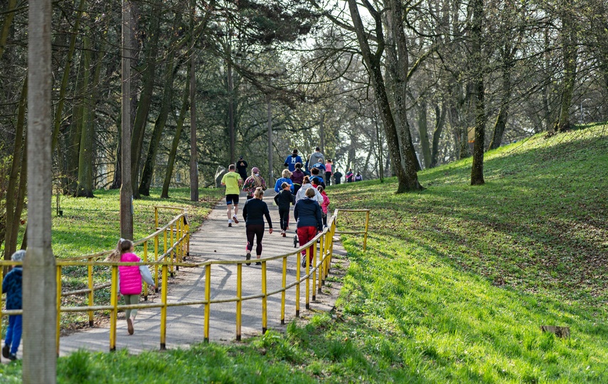 Rekordowy parkrun zdjęcie nr 281889