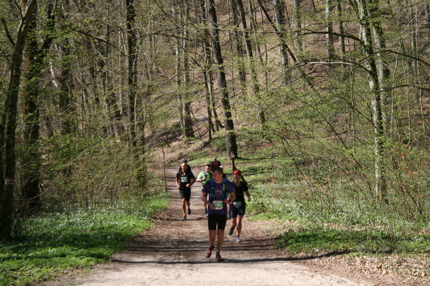 Ultra Wysoczyzna oczami Czytelników zdjęcie nr 283168