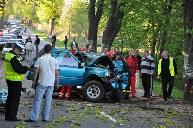Ku przestrodze zdjęcie nr 22850