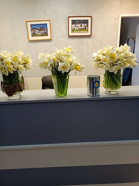 Kwestowali na rzecz elbląskiego hospicjum zdjęcie nr 283342