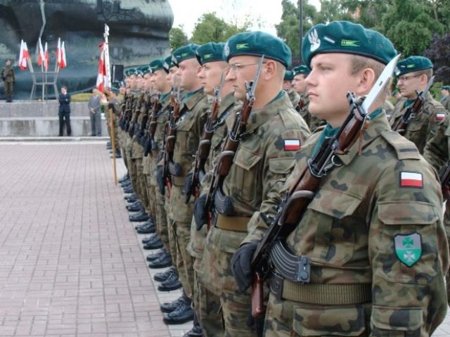 Elbląg Obchody 64. rocznicy zakończenia II wojny światowej