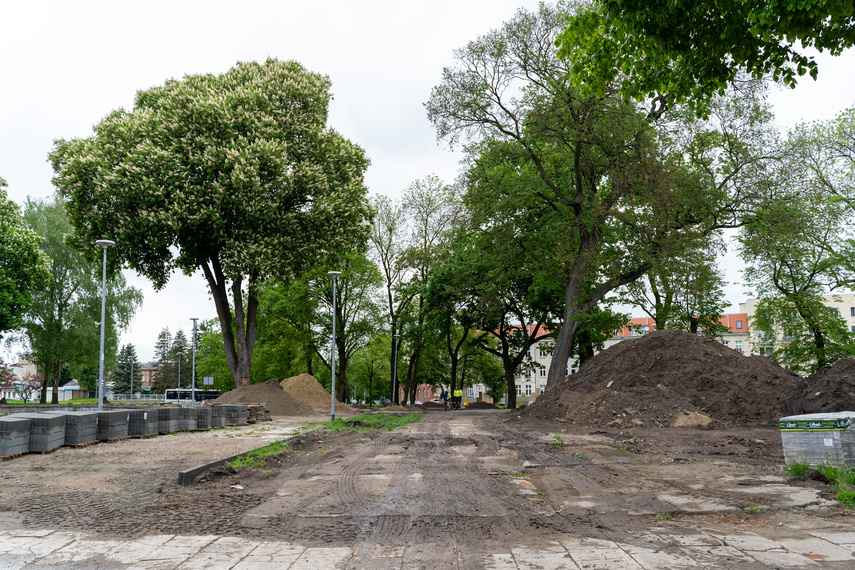 Tak zmienia się park Planty zdjęcie nr 284832