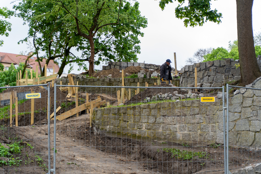 Tak zmienia się park Planty zdjęcie nr 284856