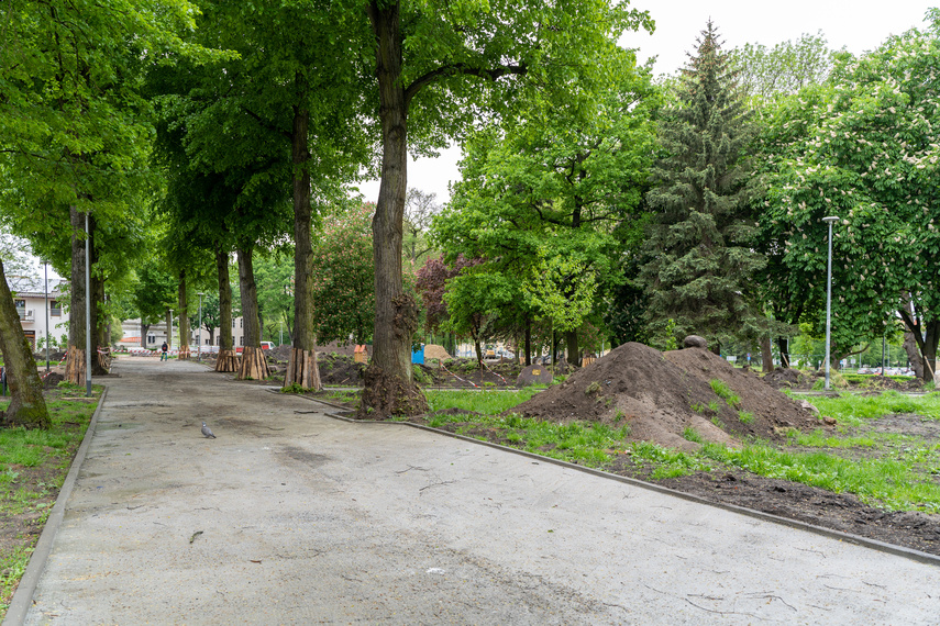 Tak zmienia się park Planty zdjęcie nr 284861