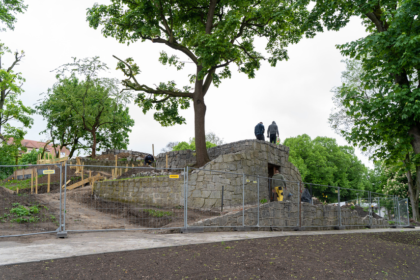 Tak zmienia się park Planty zdjęcie nr 284855