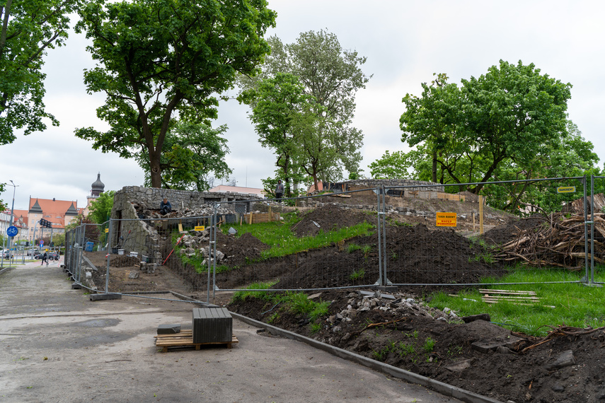 Tak zmienia się park Planty zdjęcie nr 284851