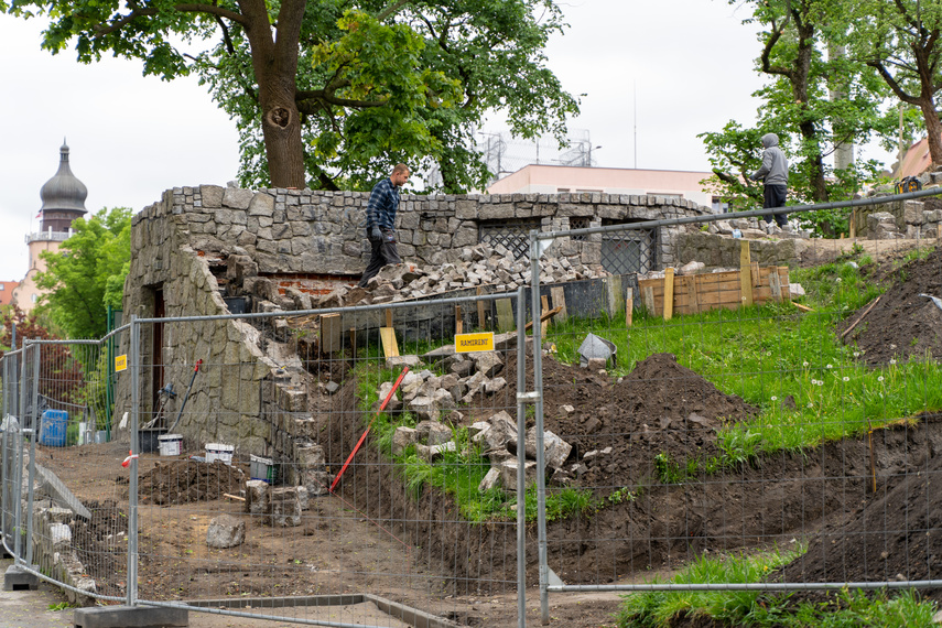 Tak zmienia się park Planty zdjęcie nr 284853