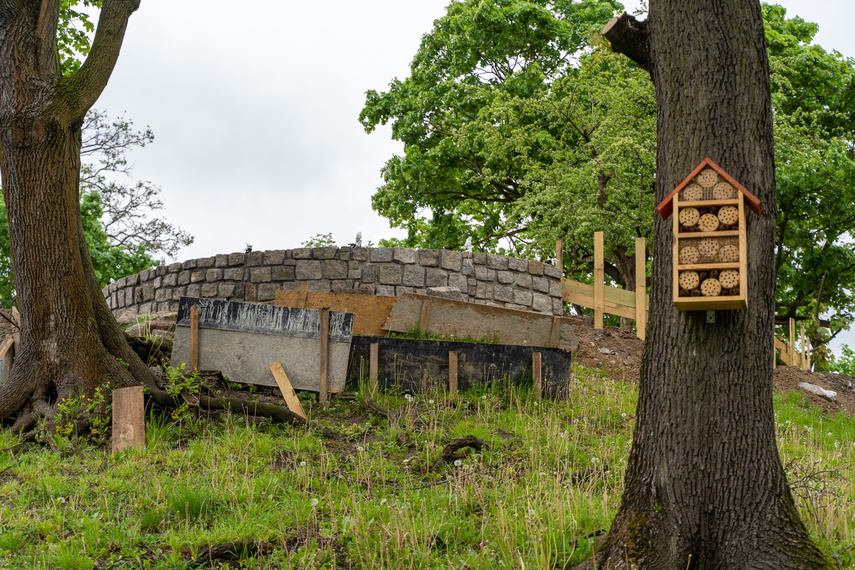Tak zmienia się park Planty zdjęcie nr 284859