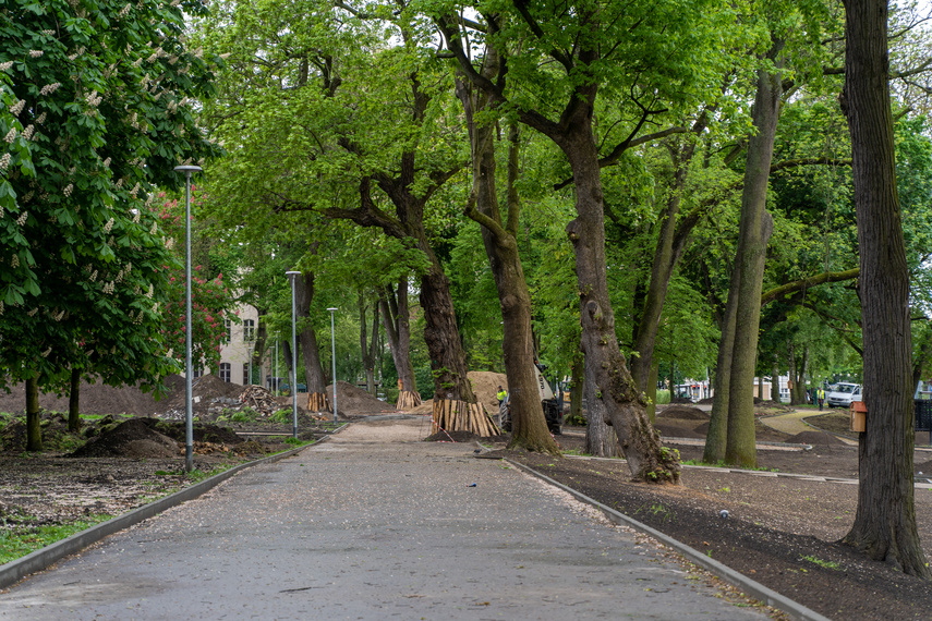 Tak zmienia się park Planty zdjęcie nr 284848
