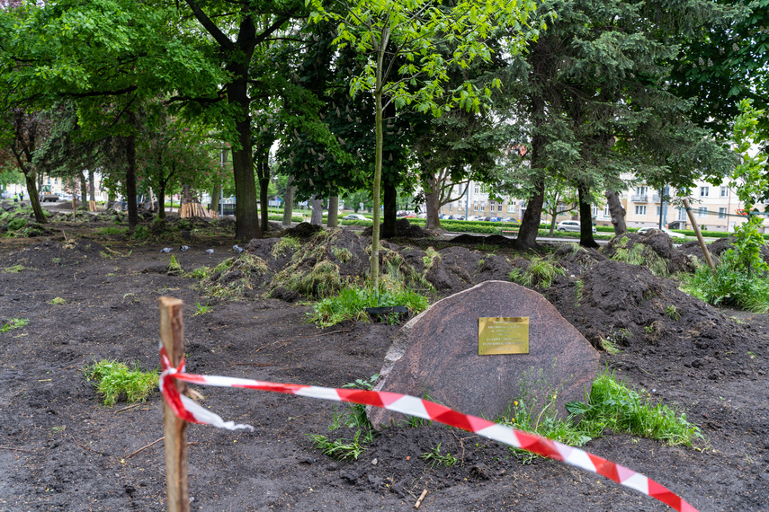 Tak zmienia się park Planty zdjęcie nr 284844