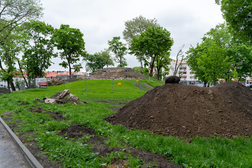 Tak zmienia się park Planty zdjęcie nr 284845