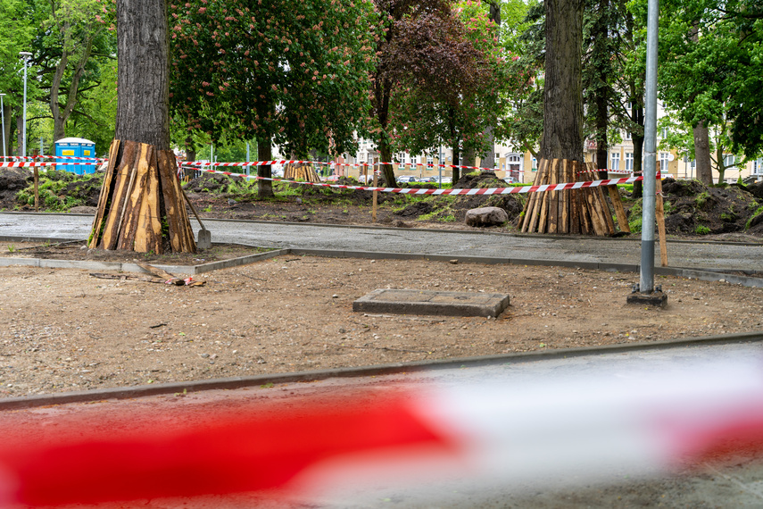 Tak zmienia się park Planty zdjęcie nr 284863