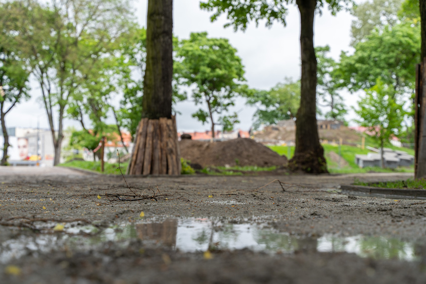 Tak zmienia się park Planty zdjęcie nr 284862