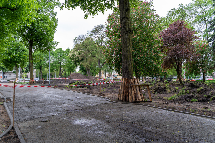 Tak zmienia się park Planty zdjęcie nr 284842