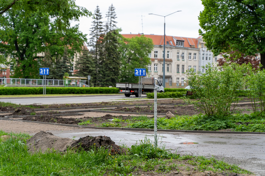 Tak zmienia się park Planty zdjęcie nr 284829