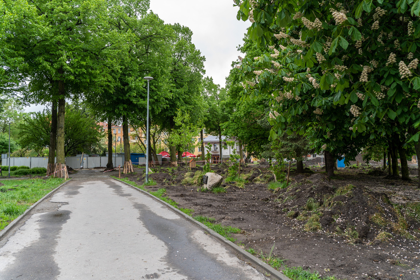 Tak zmienia się park Planty zdjęcie nr 284847