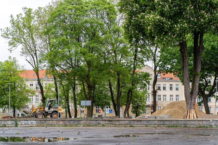 Tak zmienia się park Planty zdjęcie nr 284830