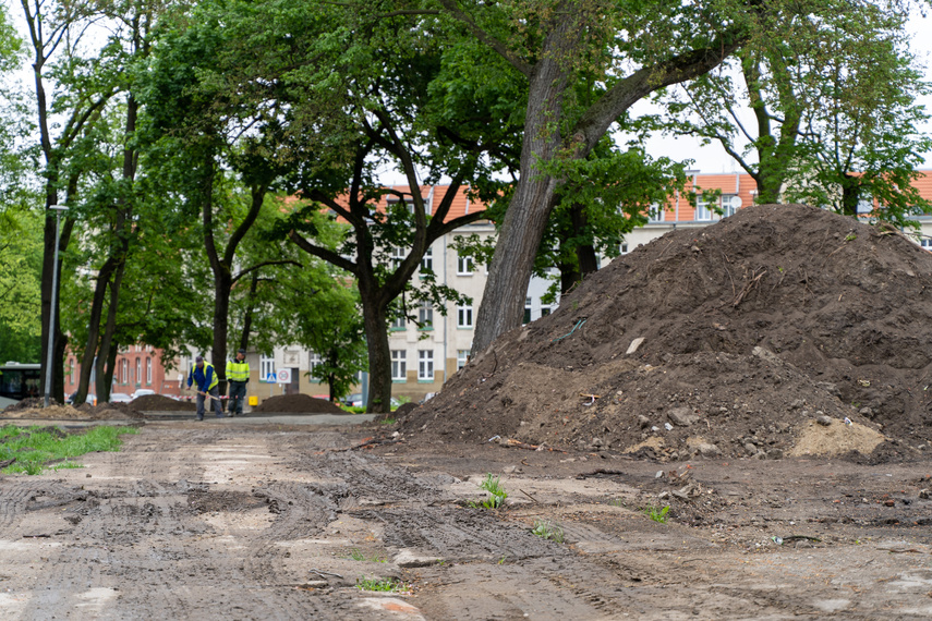 Tak zmienia się park Planty zdjęcie nr 284833