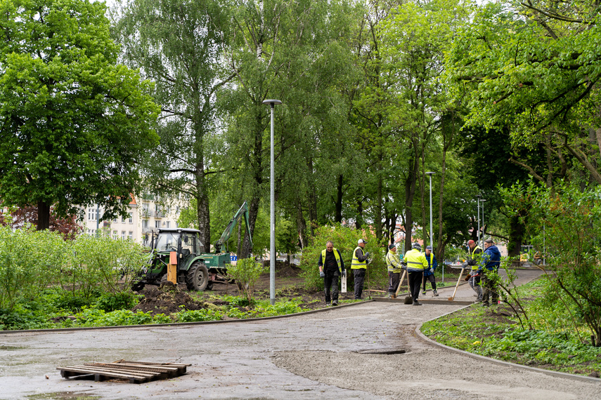 Elbląg Tak zmienia się park Planty