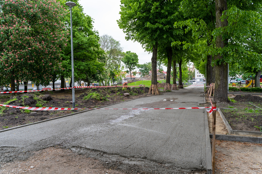 Tak zmienia się park Planty zdjęcie nr 284837