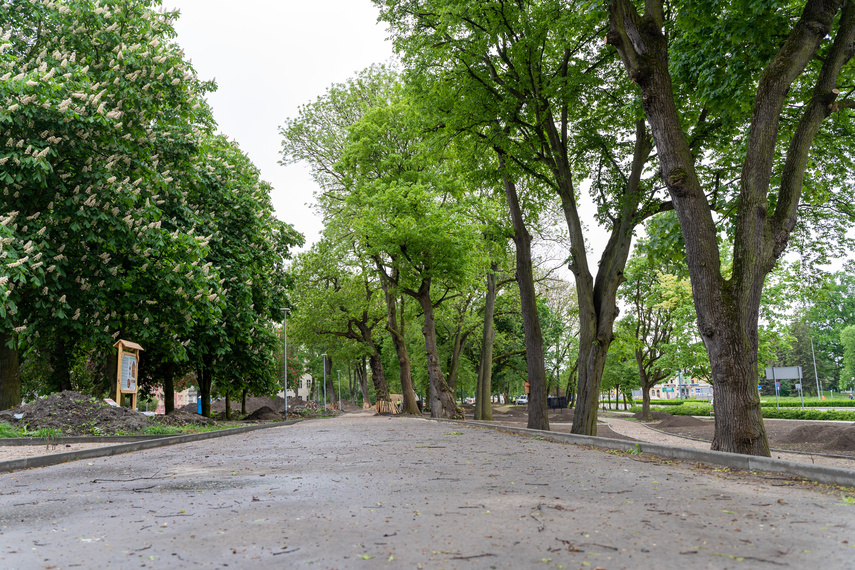 Tak zmienia się park Planty zdjęcie nr 284849