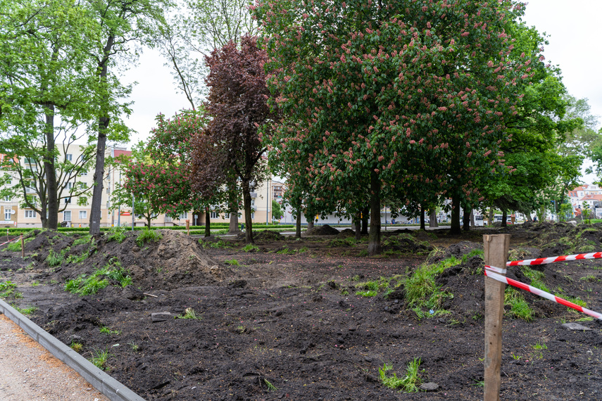 Tak zmienia się park Planty zdjęcie nr 284839