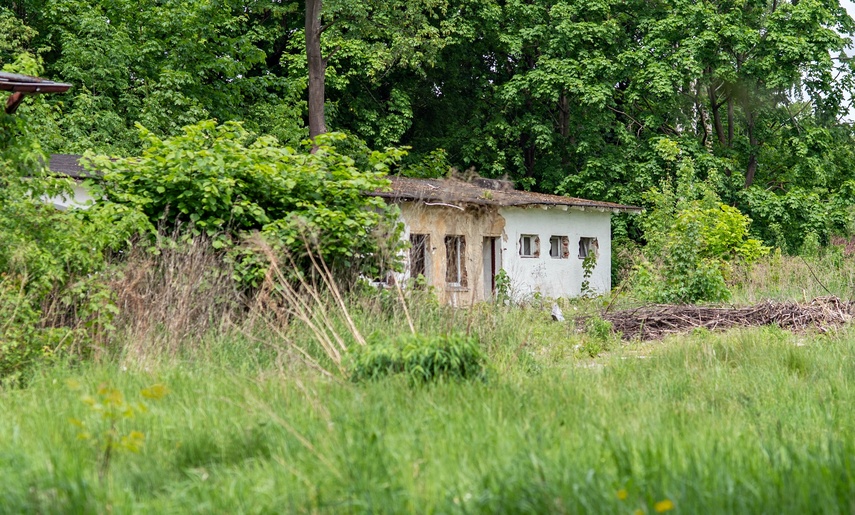 Duże zainteresowanie rewitalizacją kąpieliska zdjęcie nr 285342