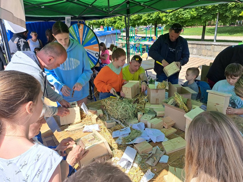 Kwiaty za odpady zdjęcie nr 285528