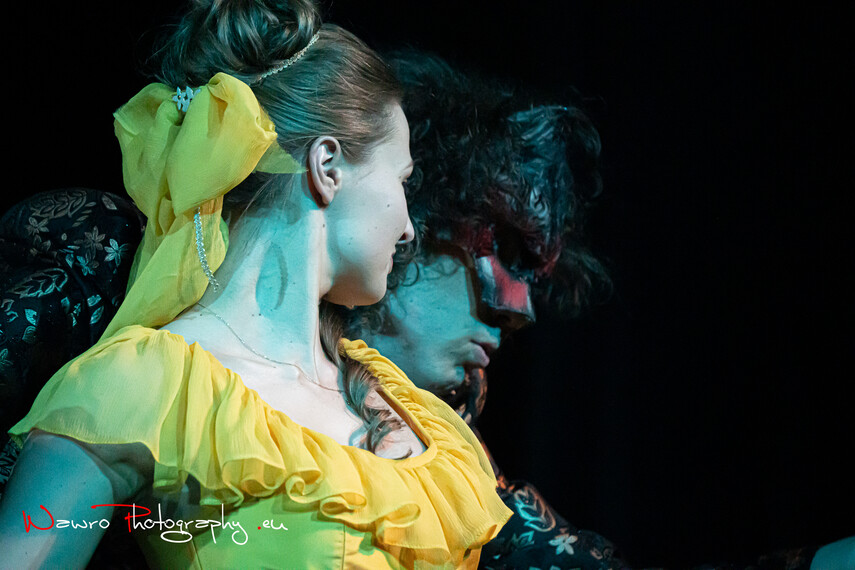 Piękna i Bestia zdjęcie nr 285537