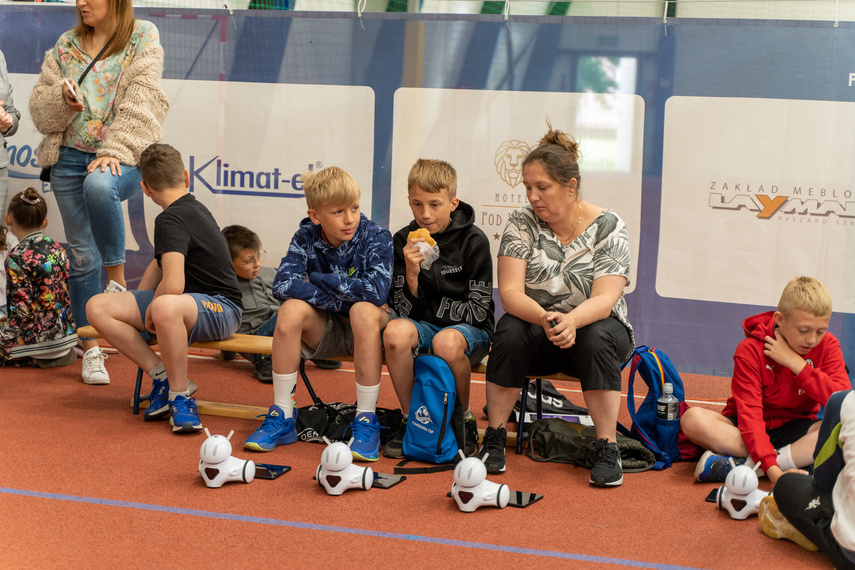 Roboty, do roboty! zdjęcie nr 285778