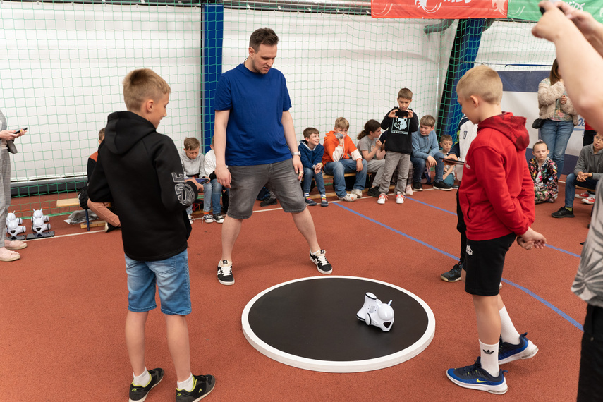 Roboty, do roboty! zdjęcie nr 285787