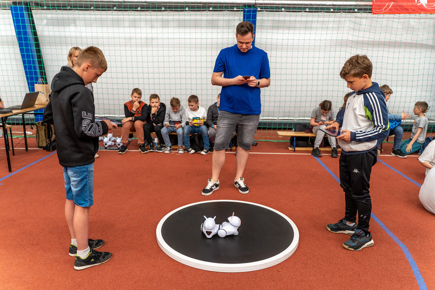 Roboty, do roboty! zdjęcie nr 285789