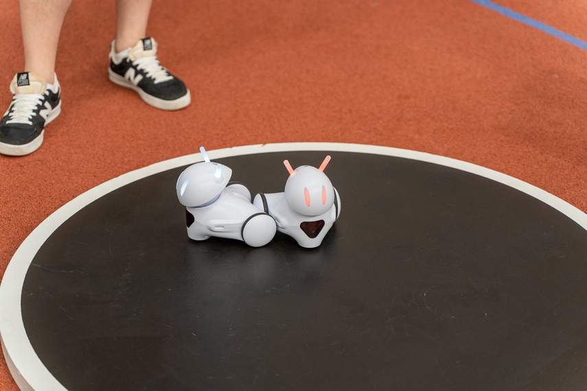 Roboty, do roboty! zdjęcie nr 285788