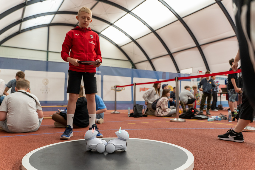 Roboty, do roboty! zdjęcie nr 285796