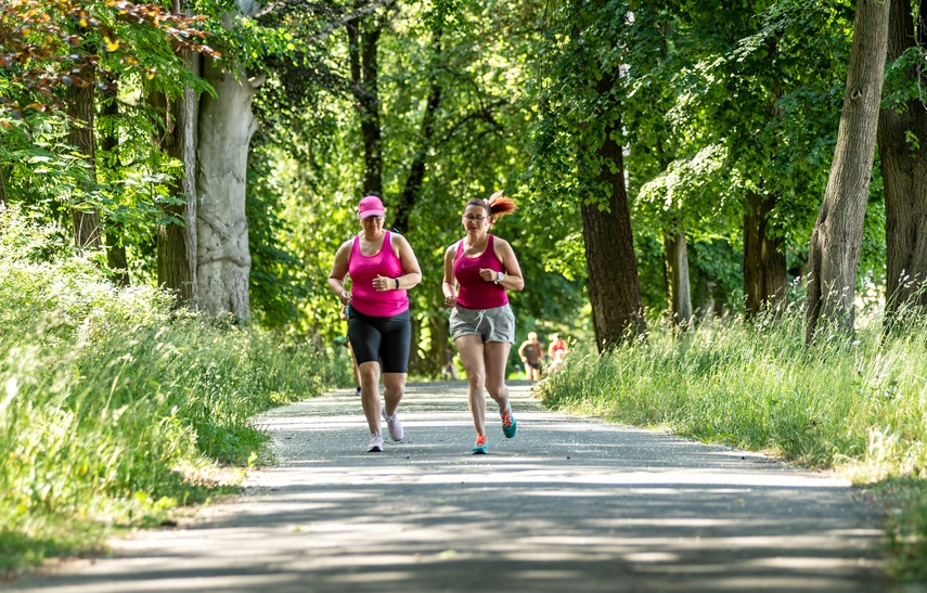 Elbląski parkrun skończył dwa lata! zdjęcie nr 287058